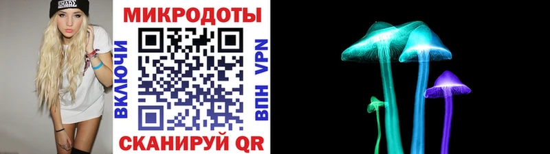 Купить  Карачев  Псилоцибиновые грибы Cubensis 
