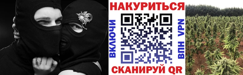 Купить закладки  Карачев  Каннабис White Widow 